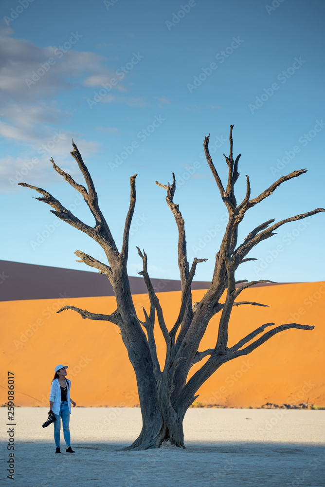 Young Asian woman photographer and traveler standing with dead tree in deadvlei (Sossusvlei) during sunrise, famous natural landmark in Namib desert of Namibia, Africa