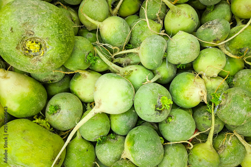 Fresh organic green radish on fresh market, background. radish texture . A lot of organic radish root Fresh organic green radish on fresh market, background. radish texture . A lot of organic radish root
