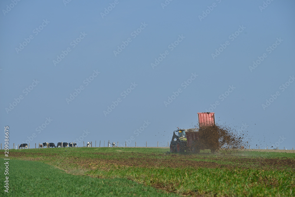Fototapeta premium culture agriculture epandage fumier fertilisation planete