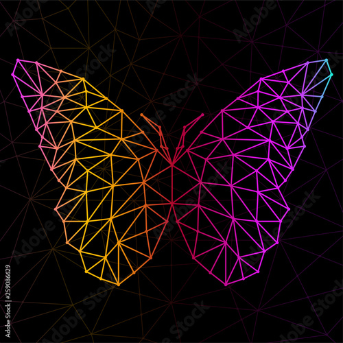 Abstract butterfly of lines and dots, polygonal geometric structure