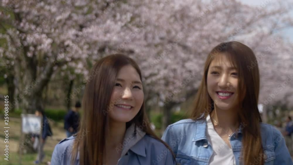 Japanese women smiling and walking in cherry blossom park in Japan, 4K Japanese women smiling and walking in cherry blossom park in Japan, 4K