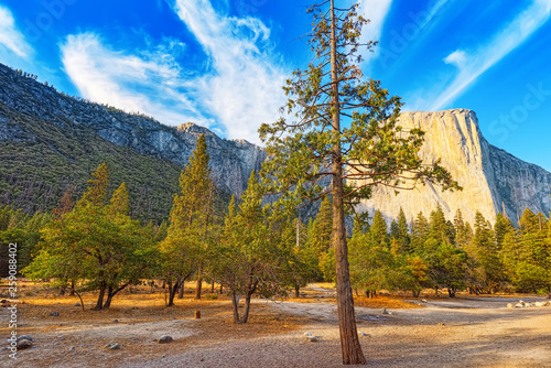 Canvas Print Yosemite Valley