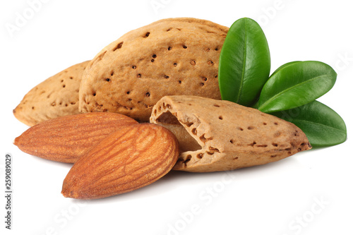 almond with green leaves isolated on white background