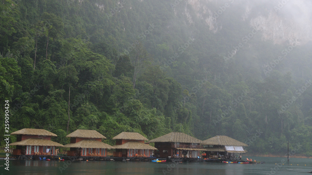 Fototapeta premium It is rainy in Khao Sok National Park. The park is the largest area of virgin forest in southern Thailand