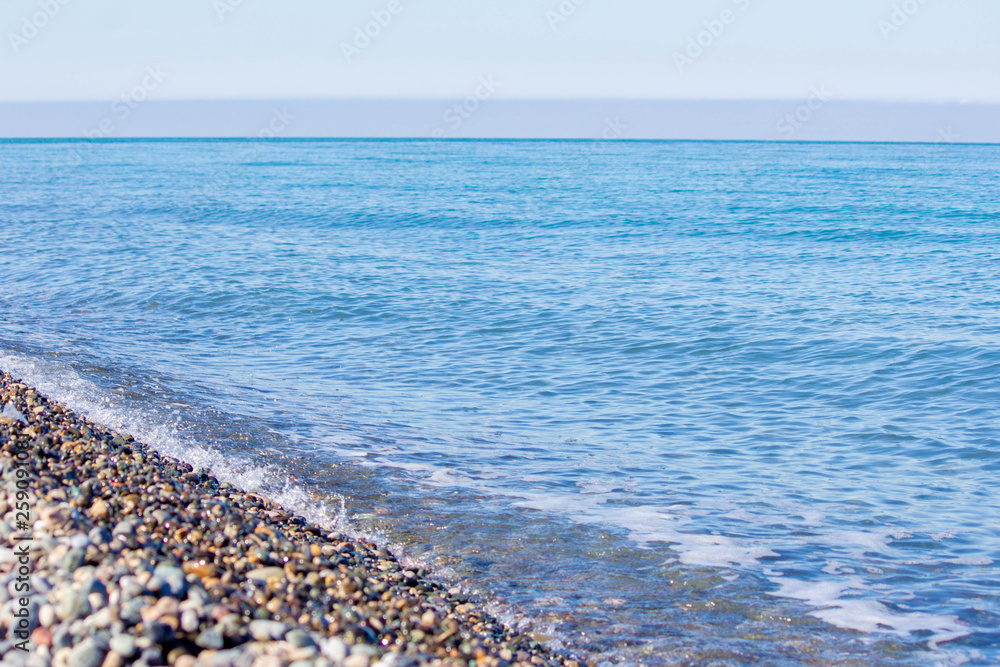 Natural concept. Summer sunny day. Natural concept. Summer sunny day.