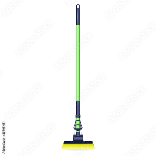 Home mop icon. Realistic illustration of home mop vector icon for web design isolated on white background