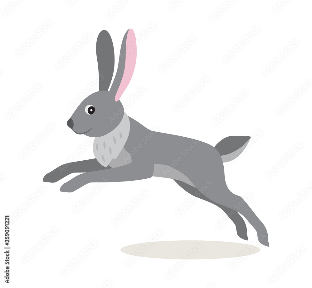 Obraz premium Cute gray jumping rabbit hare isolated on white background