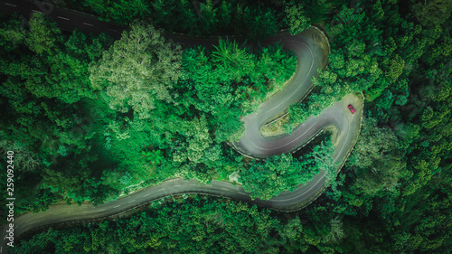 Aerial view of car driving through the forest on country road. Faial, Madeira island, Portugal