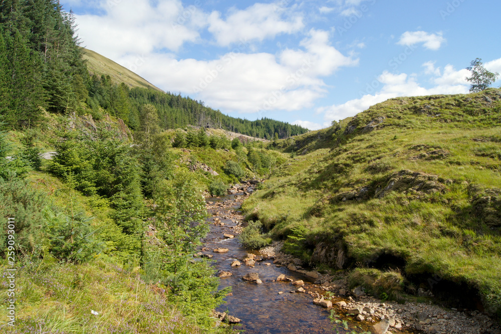 Fototapeta premium Bach in Glen Shiel, Scottish Highlands