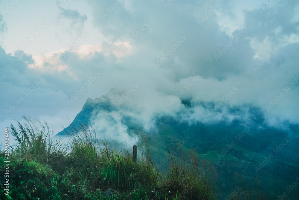 Mist mountain on rainy season. Beautiful mist mountain after raining. Mountain landscape at Phu Chi Dao in Chiangrai the north of Thailand