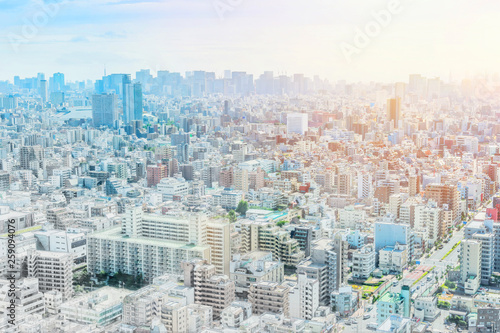 Fototapeta Naklejka Na Ścianę i Meble -  panoramic modern city skyline mix sketch effect