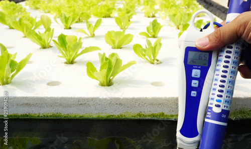 Nutrient Meter and pH meter in water on Green salad background. hydroponic garden farm. Close up. photo