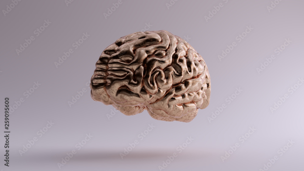 Bronze Anatomical Brain Front 3Q Left 3d illustration 3d render Bronze Anatomical Brain Front 3Q Left 3d illustration 3d render