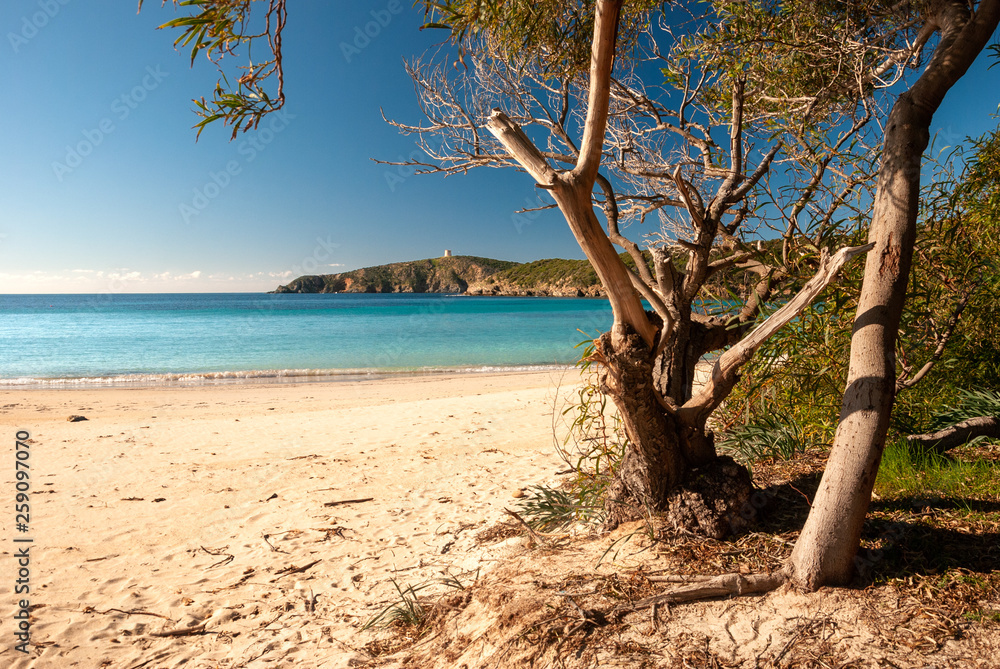 Spiaggia di Tuerredda, Sardegna, Italia Spiaggia di Tuerredda, Sardegna, Italia