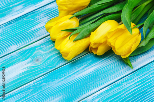 Womens day. Tulips bouquet on wooden planks background, copy space, top view