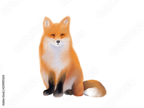 Watercolor illustration  hand drawn. Isolated image of cute little red fox.