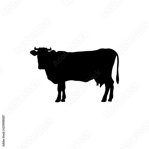 Black angus beef bull standing vector silhouette. Ox neat illustration.