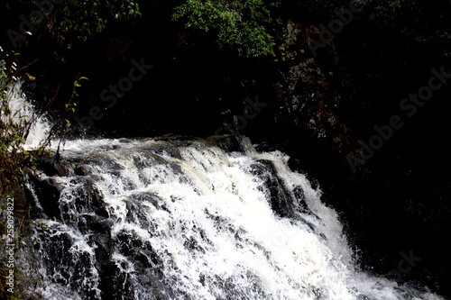 waterfall in forest