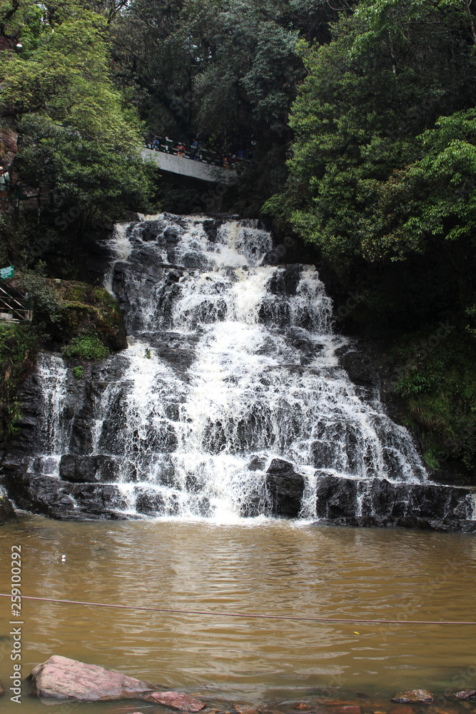 Fototapeta premium waterfall in the forest