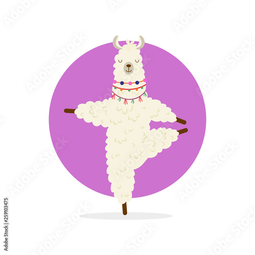 Cute cartoon llama practicing yoga pose. Animal yoga. Relaxation and meditation illustration.