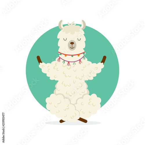 Cute cartoon llama practicing yoga pose. Animal yoga. Relaxation and meditation illustration.