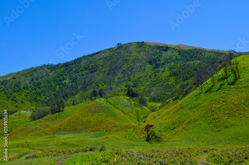 Scenic Green grass field view of rolling countryside green farm fields © syahrir
