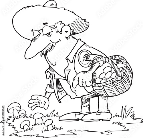 man collects mushrooms