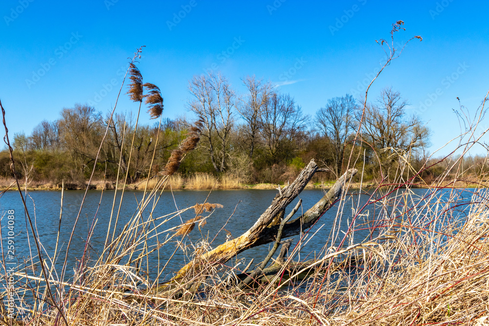 The beginning of spring on the Vistula in Krakow, Poland The beginning of spring on the Vistula in Krakow, Poland