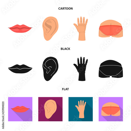 Isolated object of body and part symbol. Collection of body and anatomy stock vector illustration.