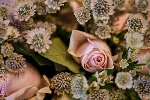 Close up flowers and rose 