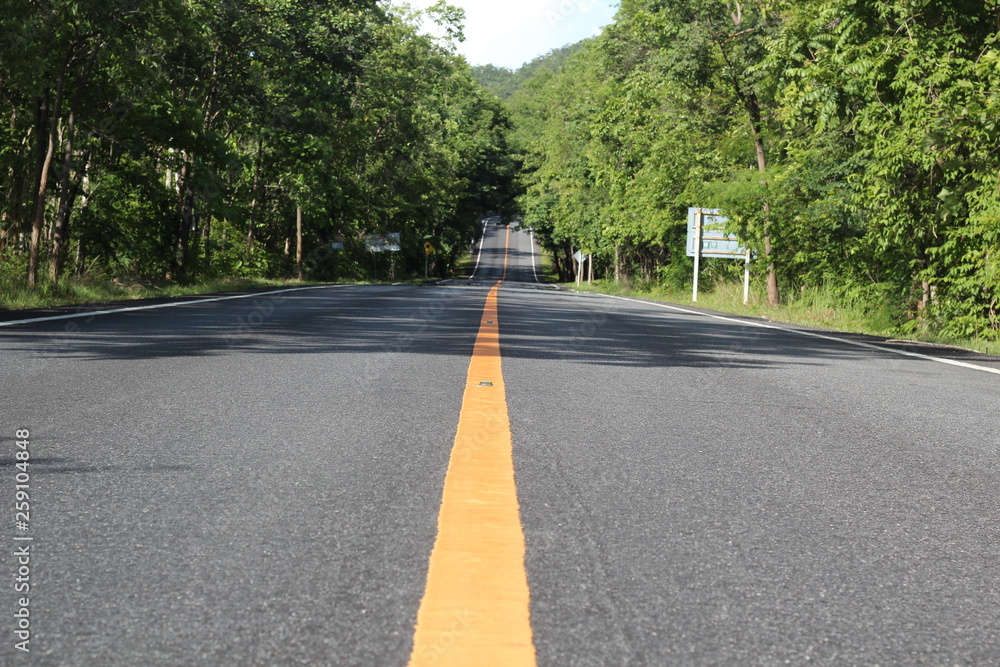 Fototapeta premium road in the park