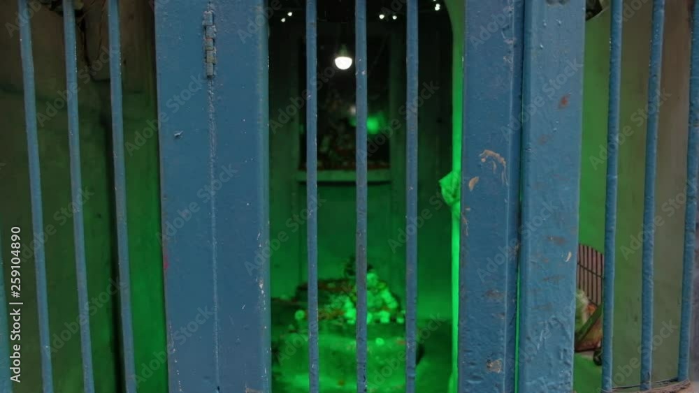 Colorful lights flashing at a small temple in Varanasi Colorful lights flashing at a small temple in Varanasi