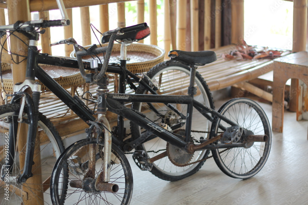 Obraz premium old bicycle on bridge