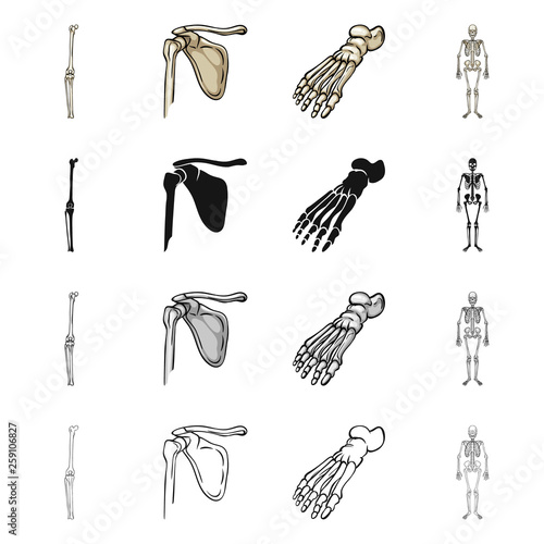 Vector illustration of medicine and clinic sign. Collection of medicine and medical stock symbol for web.