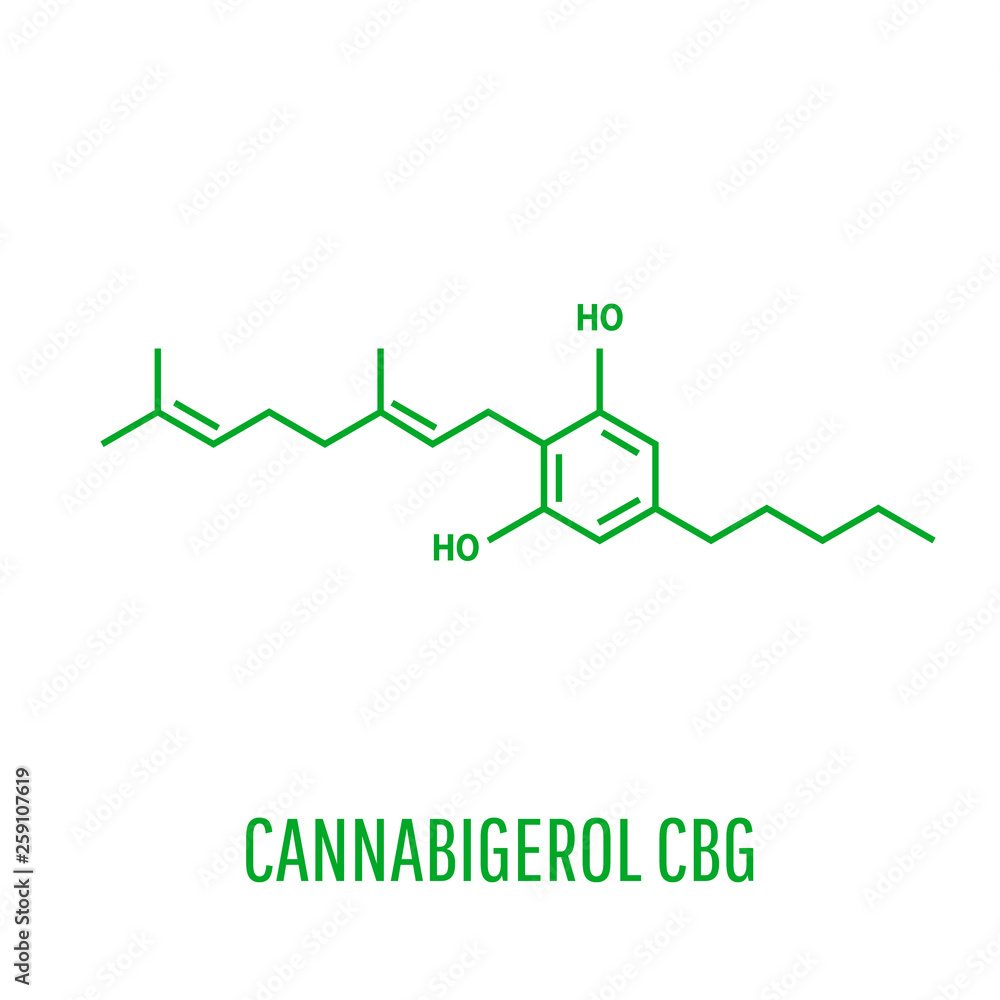 Cannabis cultivated for high tetrahydrocannabinol Cannabis cultivated for high tetrahydrocannabinol
