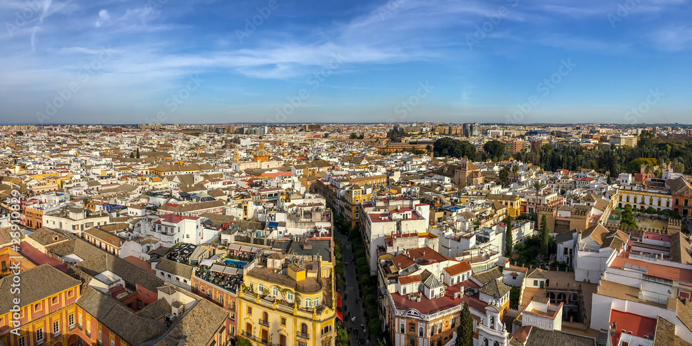 Aerial view of Seville from the roof of the cathedral, Andalusia, Spain