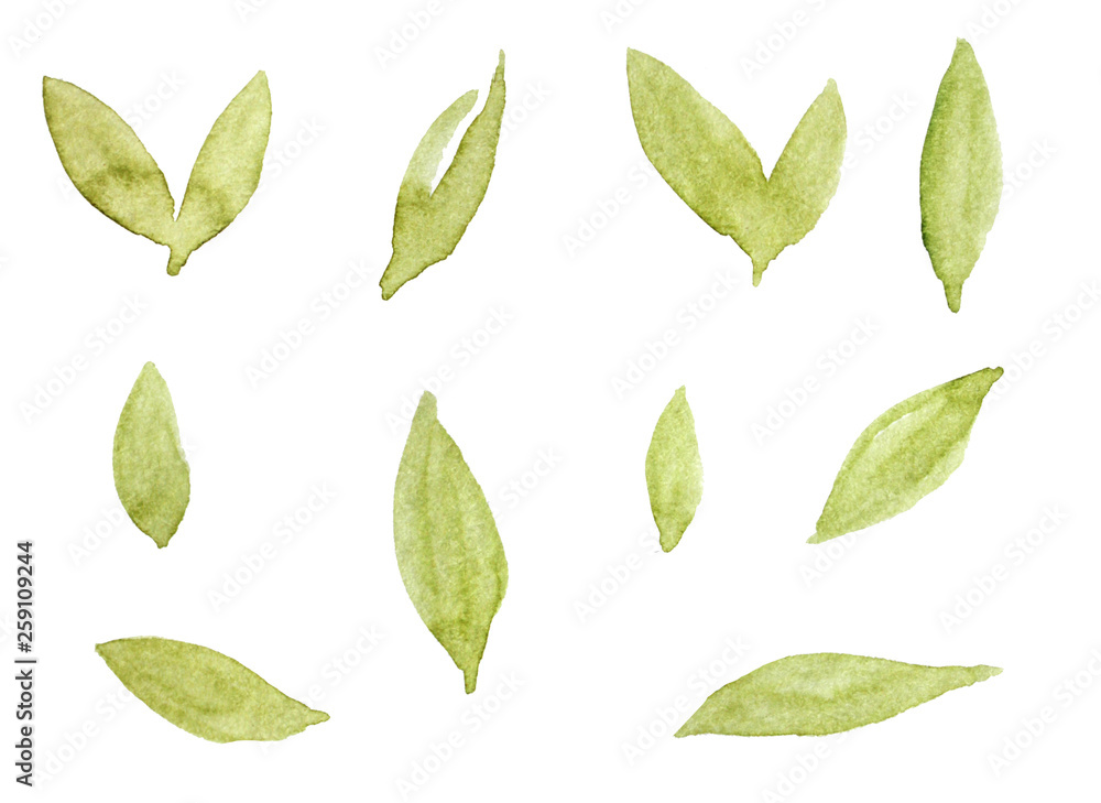 Naklejka premium elements isolated on white. collection of leaves