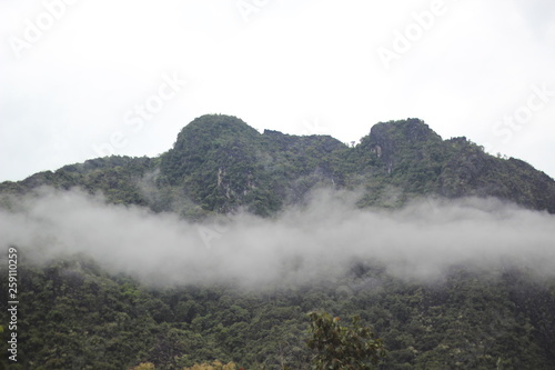 fog in mountains