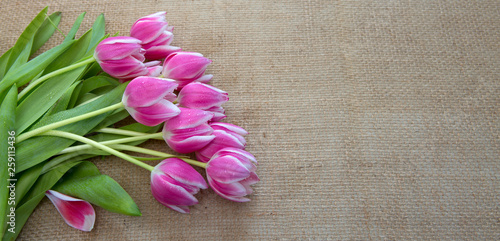 Bouquet of tulips on brown cloth Background.Spring greeting card.