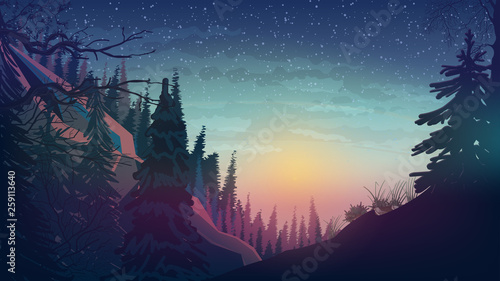 Sunset in the mountains with pine forest, spring landscape.