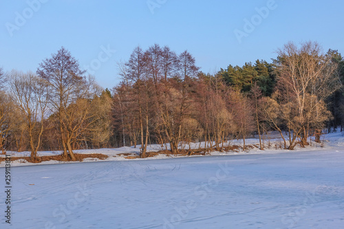 Beautiful rural landscape. Early spring. The trees are lit by the sun. Snow and blue sky. Russia. March © Aleksandr