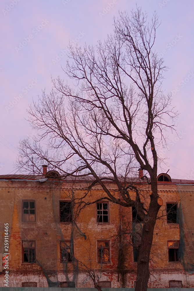 Empty destroyed building with broken windows. Pink sky Sunset. Photo in red colors. The oppressive atmosphere of destruction. Scenery for a horror movie Empty destroyed building with broken windows. Pink sky Sunset. Photo in red colors. The oppressive atmosphere of destruction. Scenery for a horror movie