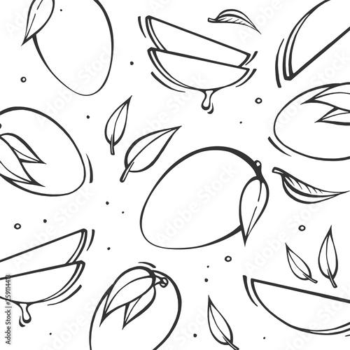 Sketch hand drawn mango background. vector illustration of Exotic fruits in doodle style