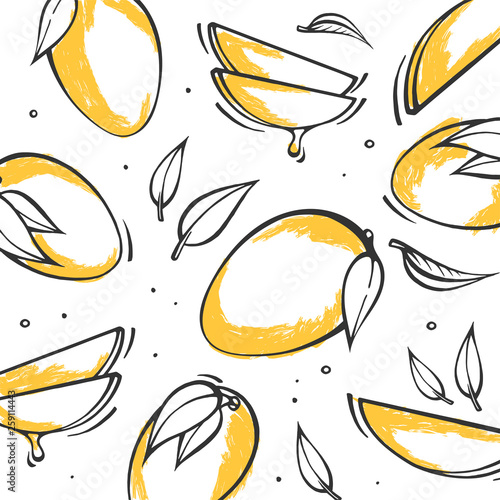 Yellow Hand drawn mango background. vector illustration of Exotic fruits in doodle style