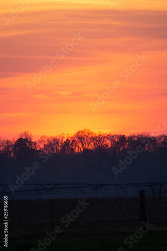 Hazy Albama sunset	 photo