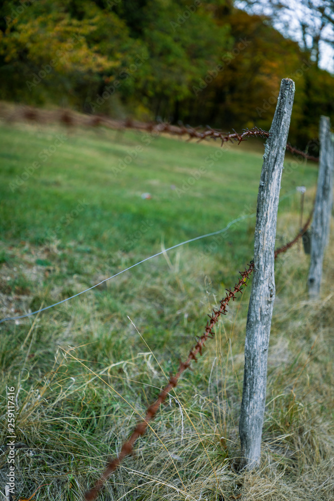 Fototapeta premium Clôture de barbelé rouillée