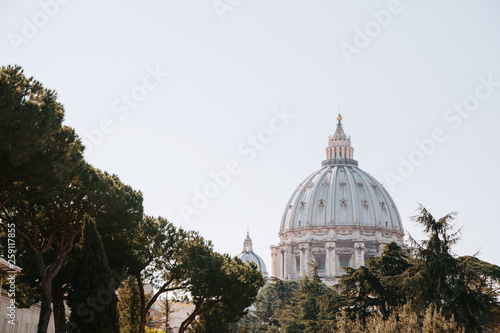View at Basilica of Saint Peter,Vatican.