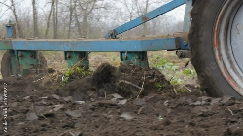Wallpaper Mural Blue tractor plows black soil in deep autumn. Winter ground preparation Torontodigital.ca