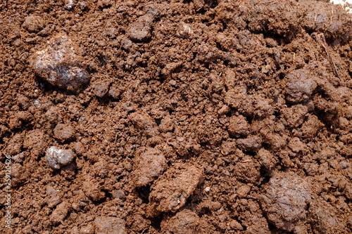 Cow dung of fertilizer closeup
