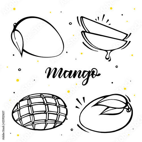 Set of mango illustration in hand drawn style. Isolated vector on white background. 